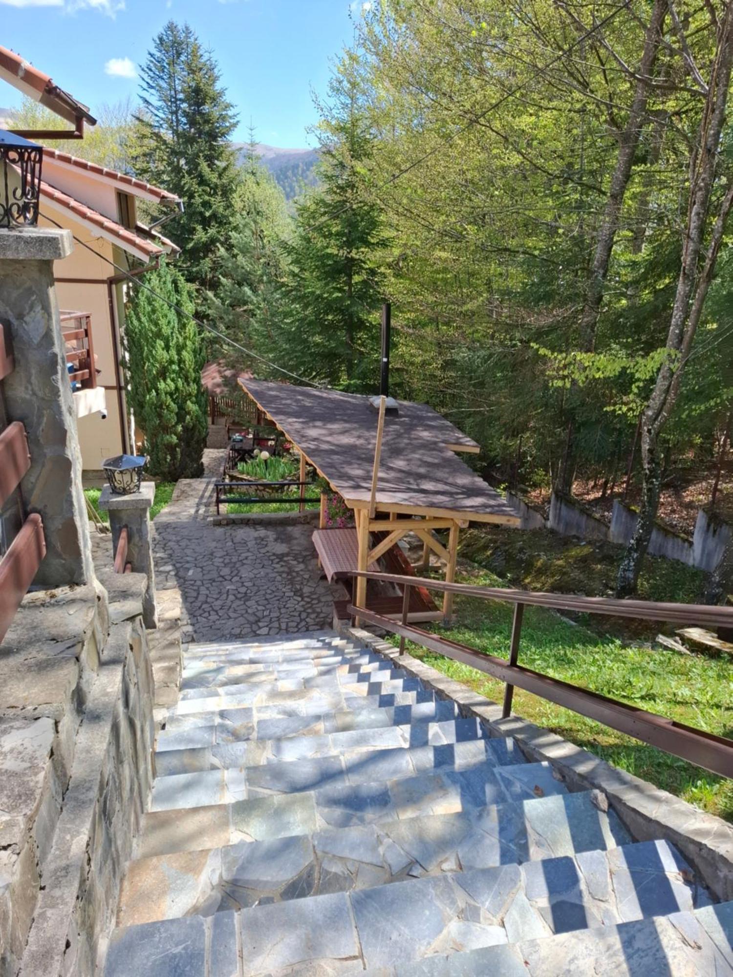 Holiday Houses ซินายา ภายนอก รูปภาพ
